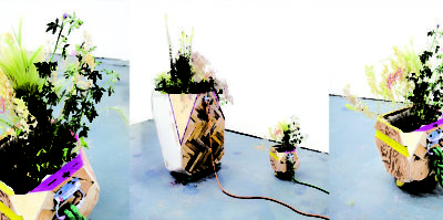 A collaged image of three photographs. Each photograph is of an arrangement of small plants in a wooden pot. The woods pots are designed with multiple types of woods and shapes. The shapes on the pots are squares of woods on each side and a triangle-cut piece of wood in each corner.