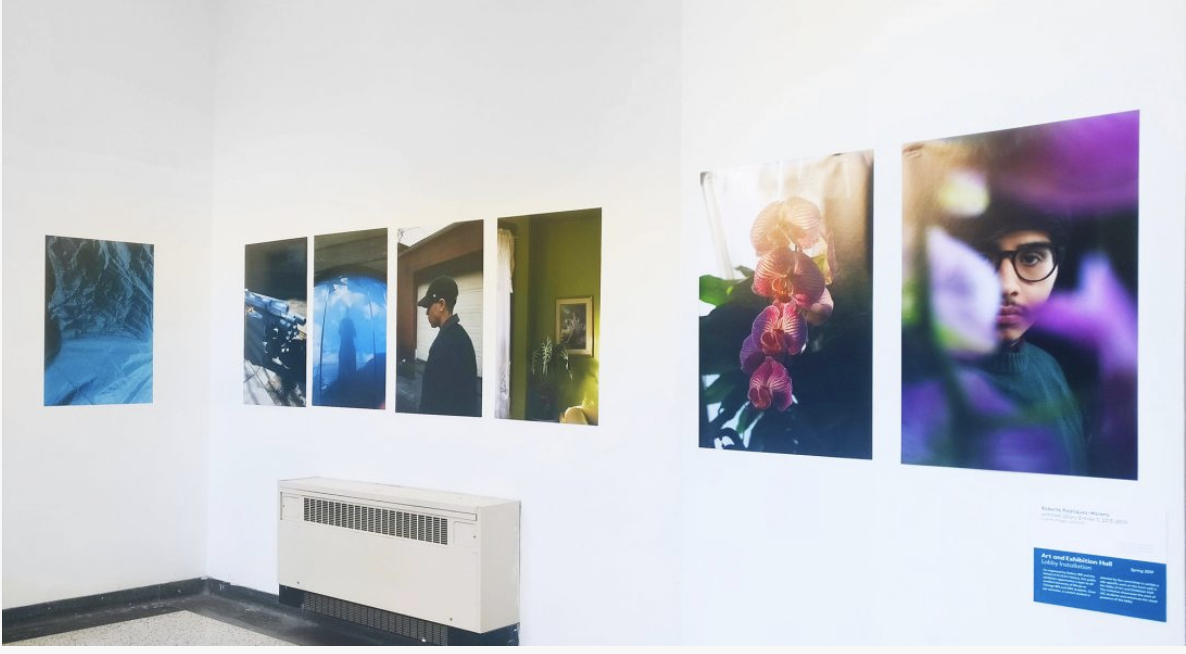 Gallery400 Roberto Rodriquez-Moreno, untitled (Diary Entries 1) 2015-2019