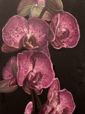 In front of a black background shows a vertical close-up of 5 pink-violet orchid heads circulating around a tall stem, with the orchid head on the top facing backwards and a seed attached to it to the right in between it and the next lowest orchid head.